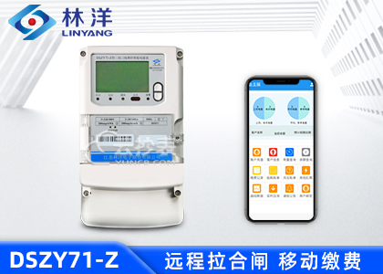 江蘇林洋DSZY71-Z三相載波預(yù)付費(fèi)電能表